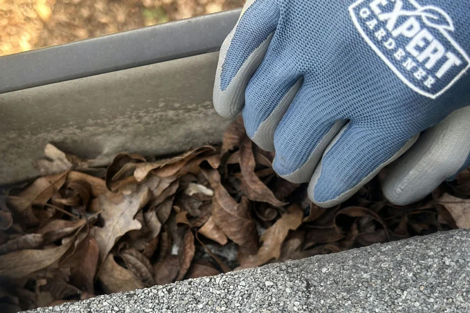 Gutter Cleaning Clay