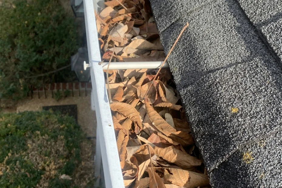 Gutter Cleaning Clay